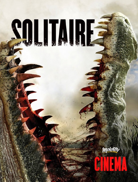 Molotov Channels Cinéma - Solitaire