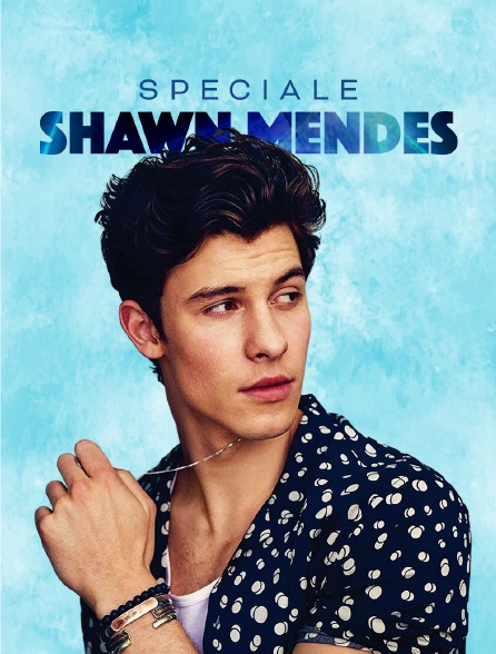 Spéciale Shawn Mendes