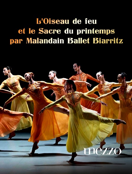 Mezzo - L'Oiseau de feu et le Sacre du printemps par Malandain Ballet Biarritz
