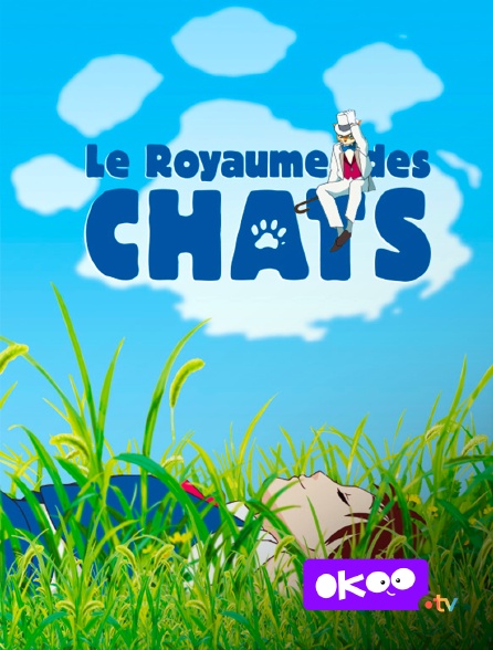 Okoo - Le royaume des chats