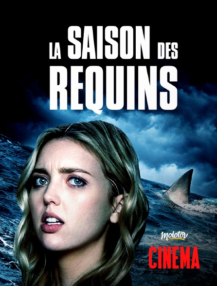 Molotov Channels Cinéma - La saison des Requins