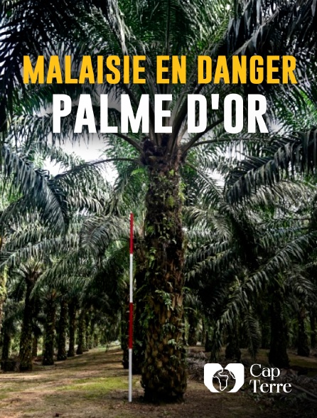 Cap Terre - Malaisie en danger : palme d'or