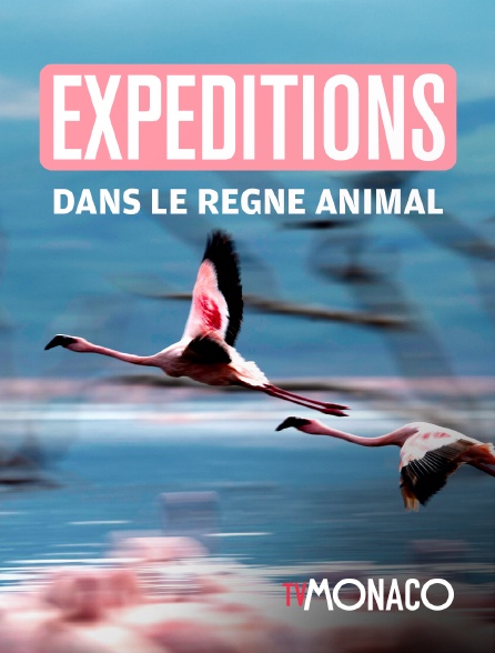 TV Monaco - Expéditions dans le règne animal