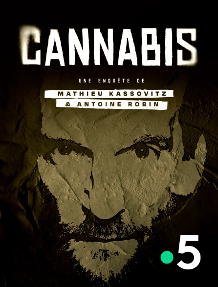 France 5 - Cannabis : une enquête de Mathieu Kassovitz et Antoine Robin