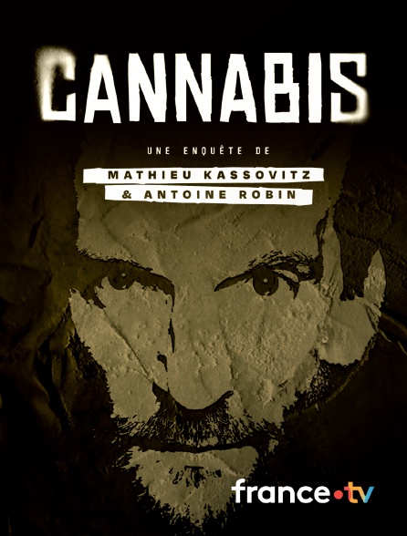France.tv - Cannabis : une enquête de Mathieu Kassovitz et Antoine Robin
