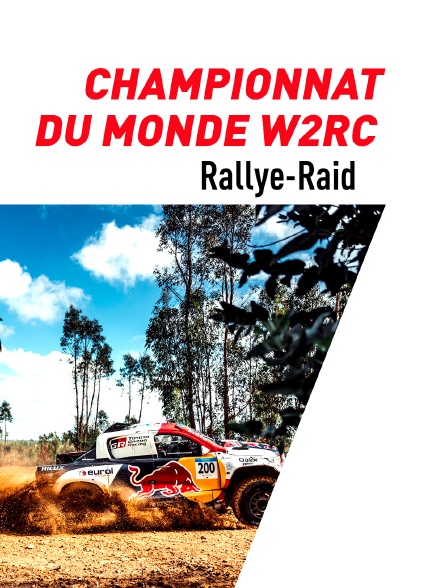 Rallye-raid : Safari Afrique du Sud
