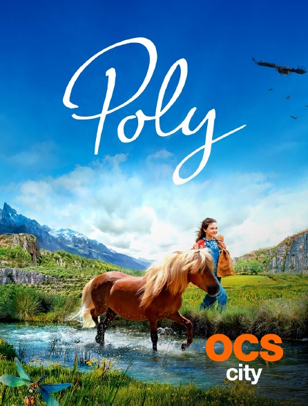 OCS City - Poly