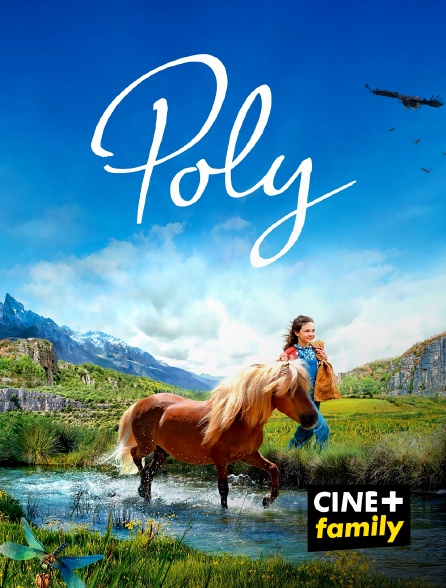CINE+ Family - Poly