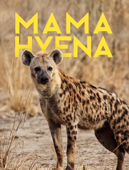Mama Hyena