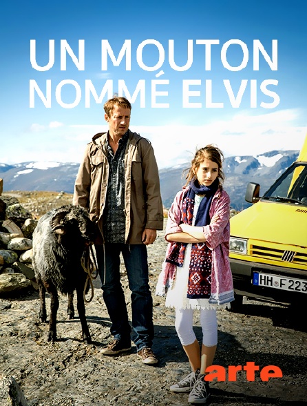 Arte - Un mouton nommé Elvis