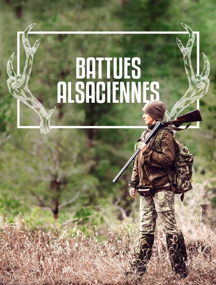 Battues alsaciennes