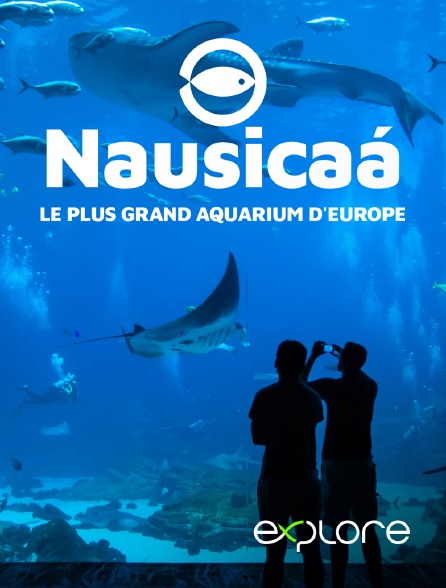 EXPLORE - Nausicaa, le plus grand aquarium d'Europe