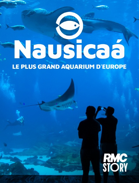 RMC Story - Nausicaa, le plus grand aquarium d'Europe