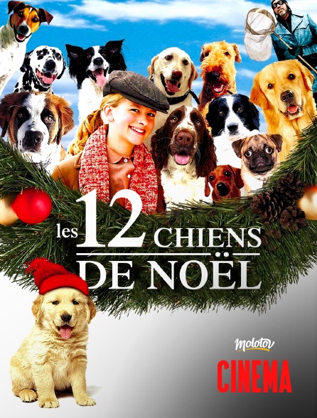 Molotov Channels Cinéma - 12 chiens pour Noël