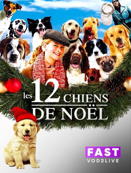 Molotov Channels TEST FAST - 12 chiens pour Noël