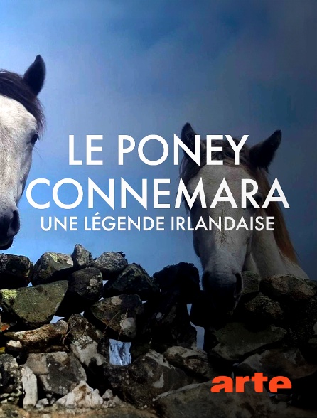 Arte - Le poney Connemara, une légende irlandaise