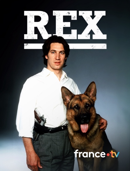 france.tv - Rex, chien flic