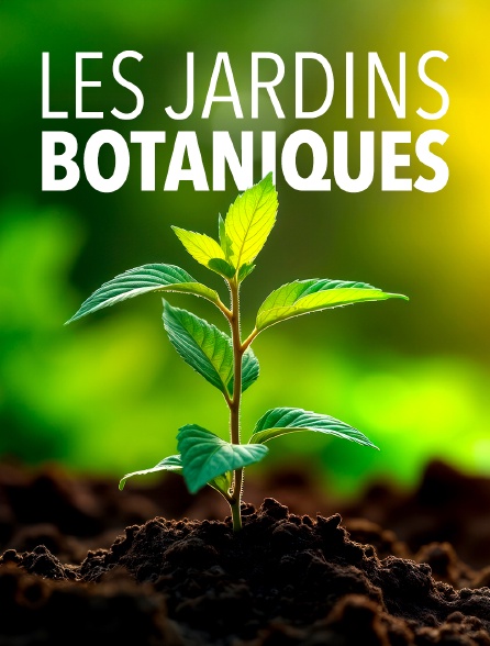 Les jardins botaniques : Un sanctuaire pour la flore