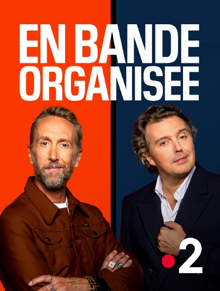 France 2 - En bande organisée