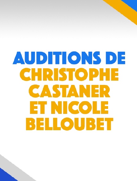 Auditions de Christophe Castaner et Nicole Belloubet