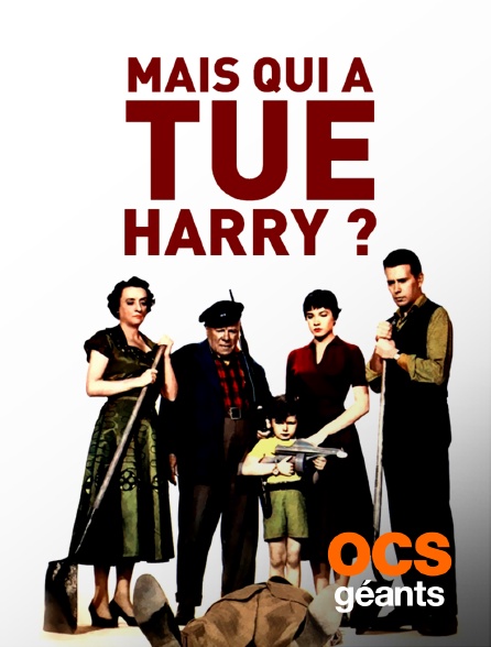 OCS Géants - Mais qui a tué Harry ?
