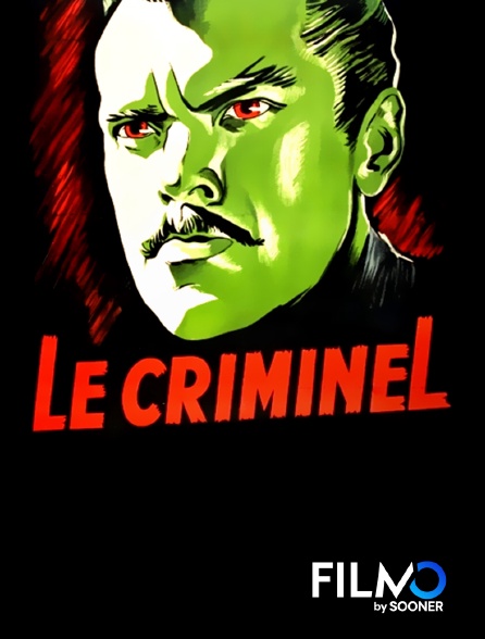 FilmoTV - Le criminel
