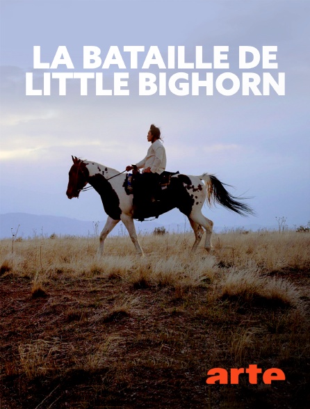 Arte - La bataille de Little Bighorn