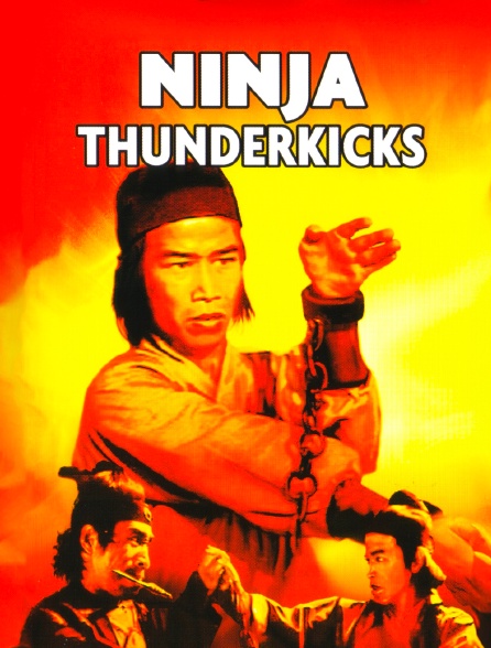 Ninja Thunderkicks