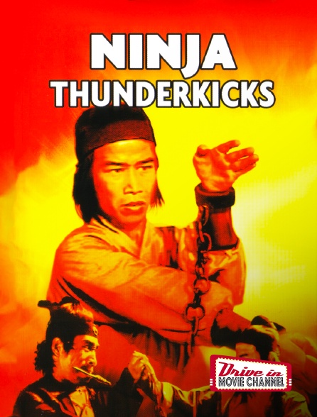Drive-in Movie Channel - Ninja Thunderkicks