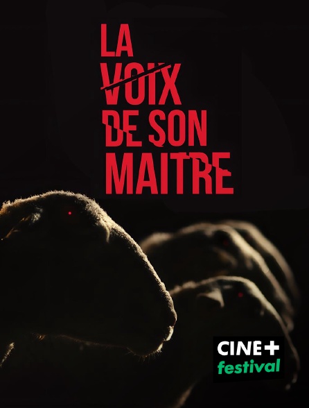 CINE+ Festival - La voix de son maître en replay