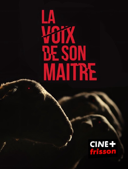 CINE+ Frisson - La voix de son maître