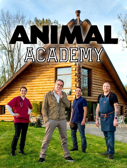 Animal Academy en Streaming - Molotov.tv