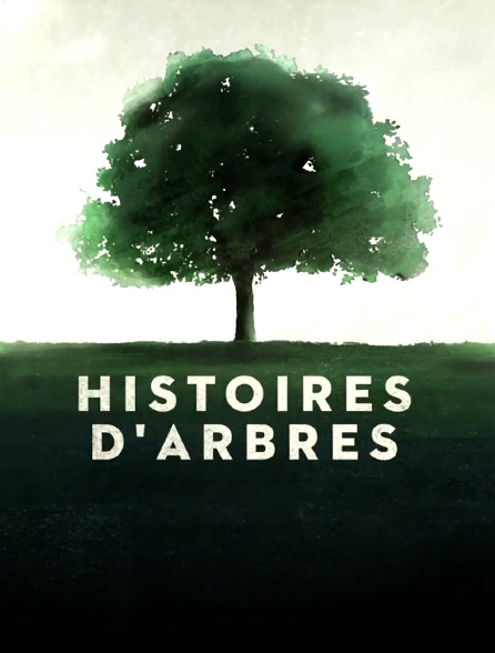 Histoires d'arbres