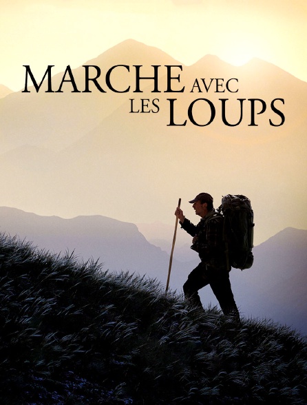 Marche avec les loups