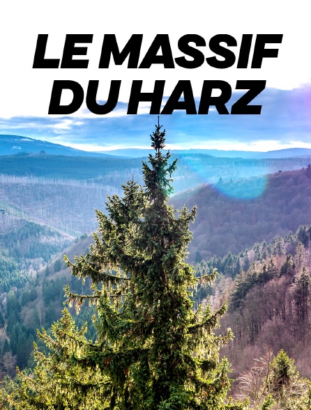 Le massif du Harz, joyau sauvage au coeur de l'Allemagne