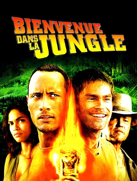 Bienvenue dans la jungle