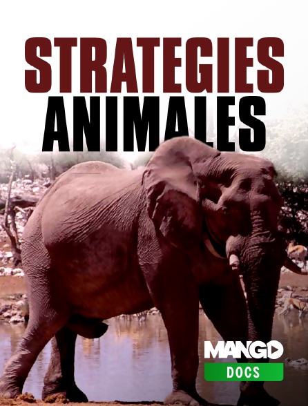 MANGO Docs - Stratégies animales