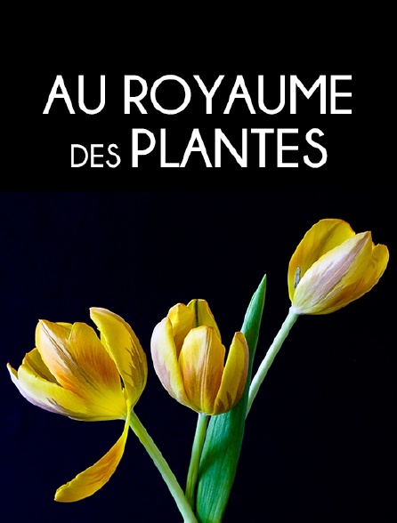 Au royaume des plantes