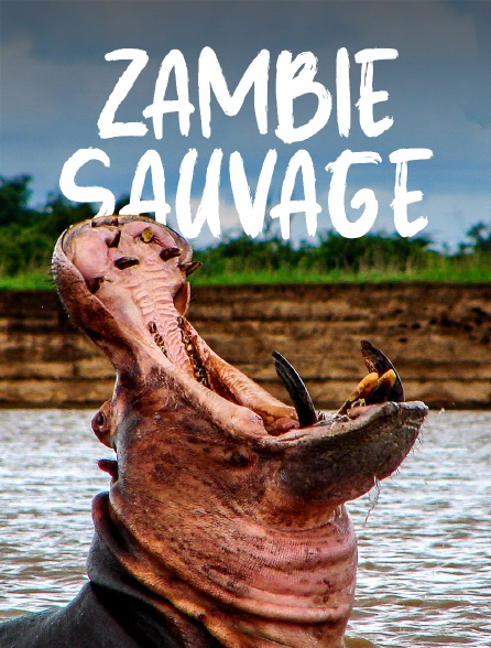 Zambie sauvage