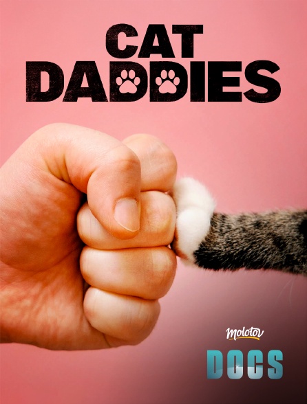 Molotov Channels Docs - Cat Daddies