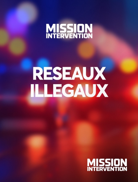 Mission Intervention - Réseaux illégaux