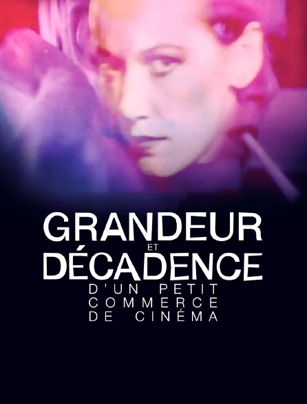 Grandeur et décadence d'un petit commerce de cinéma