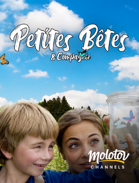 Mango - Petites bêtes et compagnie