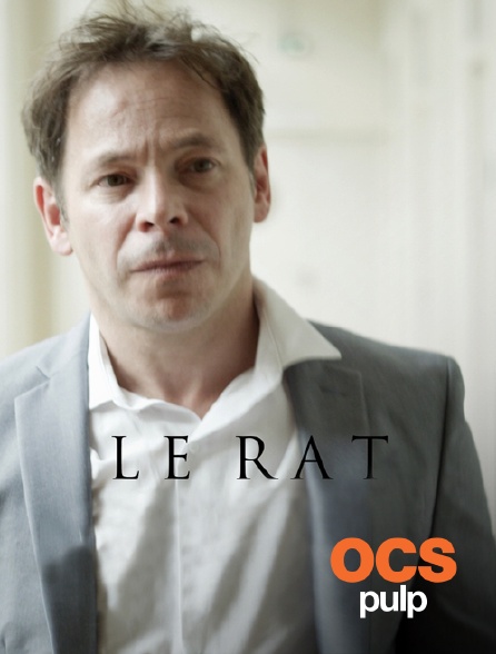 OCS Pulp - Le rat
