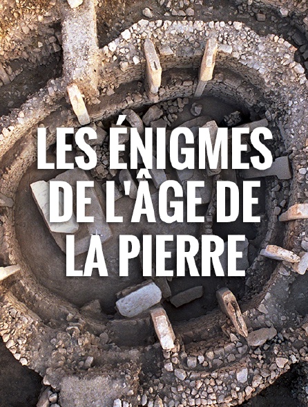 Les énigmes de l'âge de la pierre