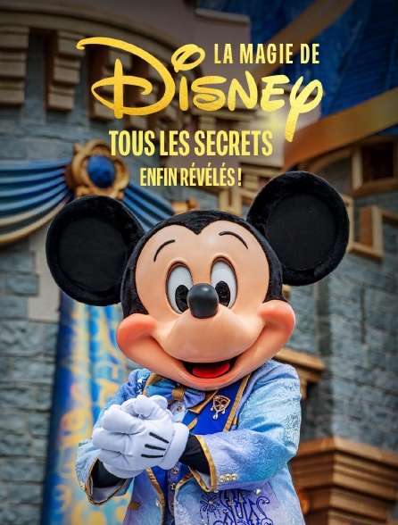 La magie de Disney : tous les secrets enfin révélés !