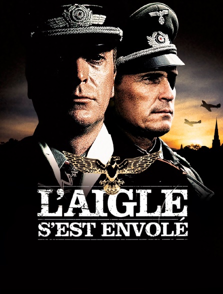 L'aigle s'est envolé