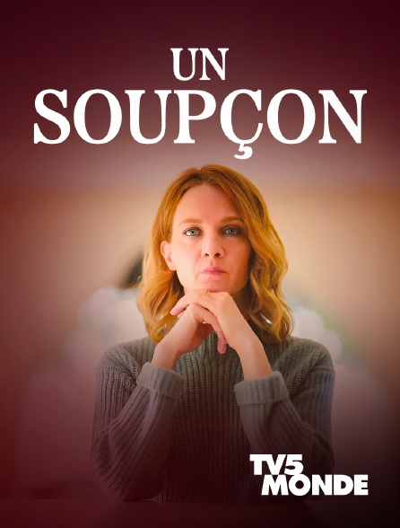 TV5MONDE - Un soupçon