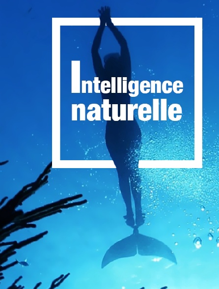 Intelligence naturelle