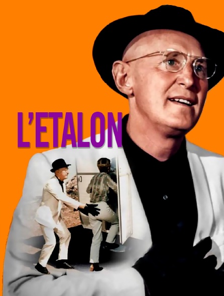 L'étalon